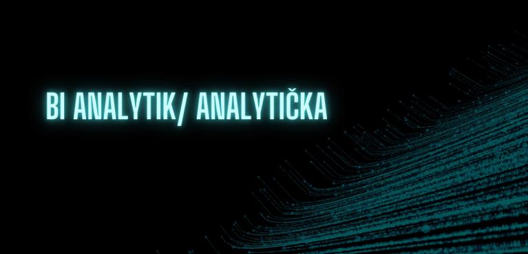 BI Analytik / Analytička