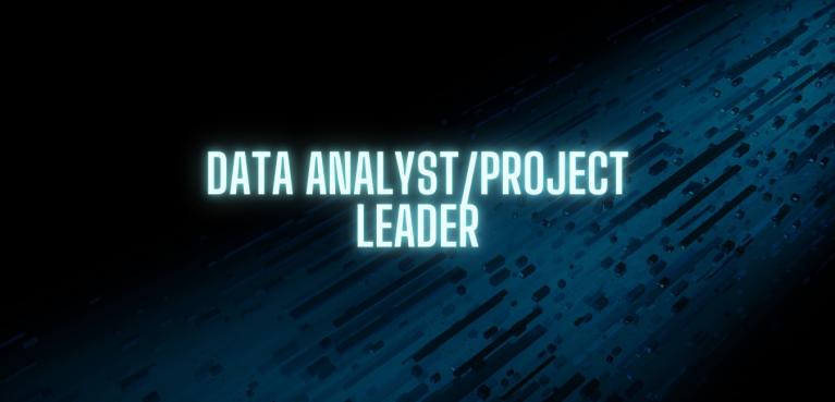 Data Analyst/Project Leader