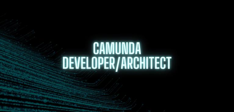 Camunda Developer/ Architekt