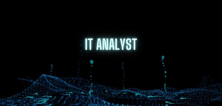 IT Analytik